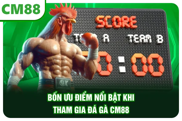 Bốn ưu điểm nổi bật khi tham gia đá gà CM88