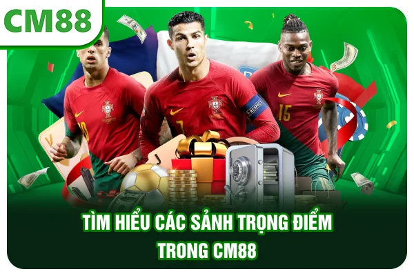 Tìm hiểu các sảnh trọng điểm trong CM88