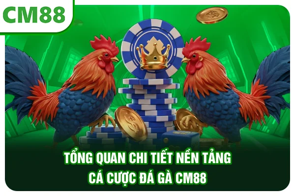 Tổng quan chi tiết nền tảng cá cược đá gà CM88